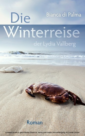 Die Winterreise der Lydia Vallberg main product photo