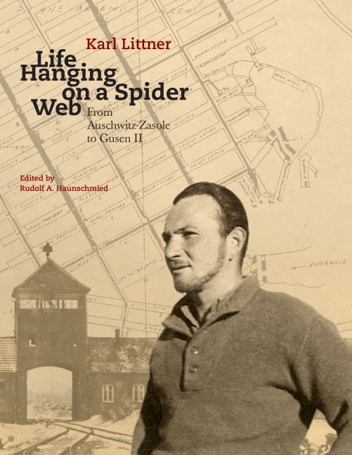 Life Hanging on a Spider Web main product photo