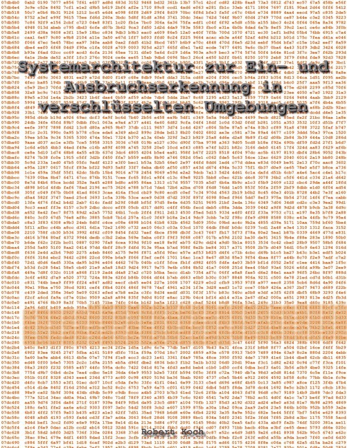 Systemarchitektur zur Ein- und Ausbruchserkennung in verschlüsselten Umgebungen main product photo