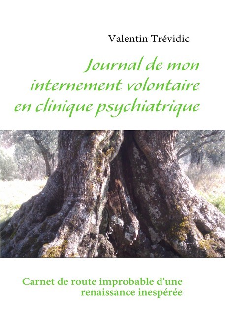 Journal de mon internement volontaire en clinique psychiatrique main product photo