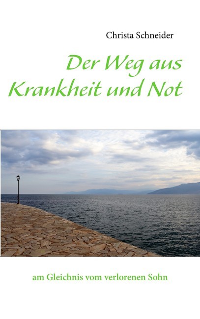 Der Weg aus Krankheit und Not main product photo