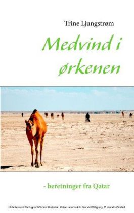 Medvind i ørkenen - beretninger fra Qatar