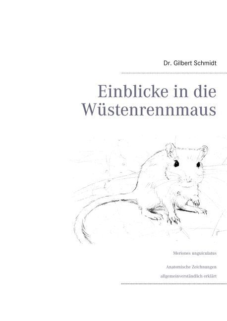 Einblicke in die Wüstenrennmaus main product photo
