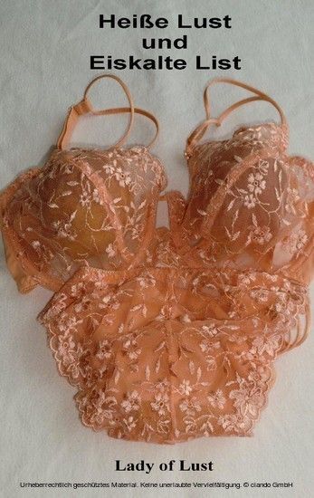 Heiße Lust und Eiskalte List main product photo
