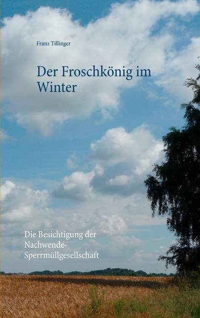 Der Froschkönig im Winter main product photo
