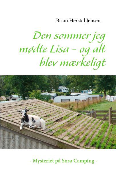 Den sommer jeg mødte Lisa - og alt blev mærkeligt main product photo