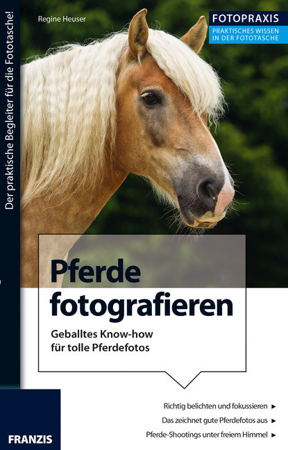 Foto Praxis Pferde fotografieren main product photo
