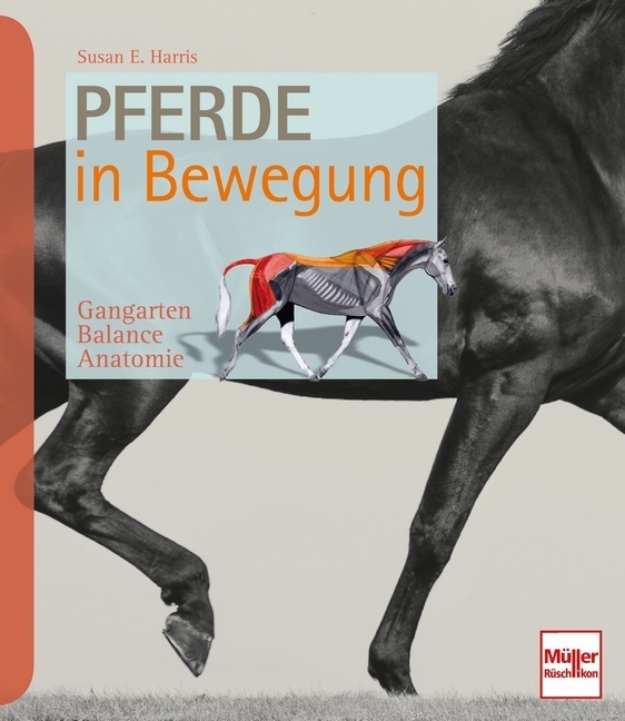 Pferde in Bewegung main product photo