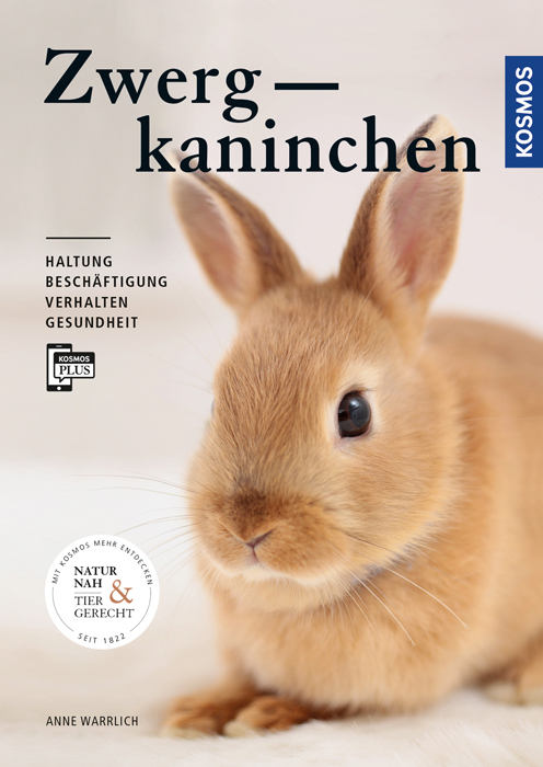 Zwergkaninchen main product photo