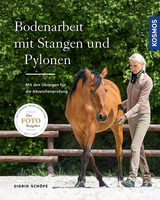 Bodenarbeit mit Stangen und Pylonen main product photo