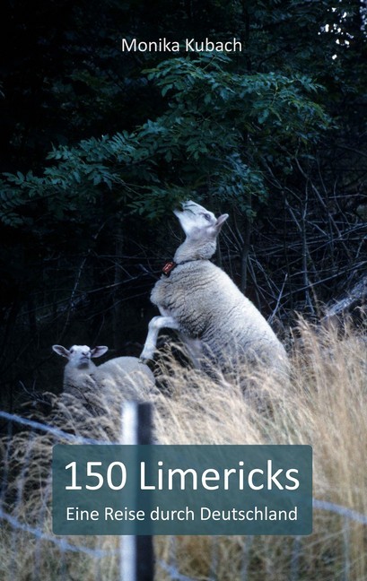 150 Limericks main product photo