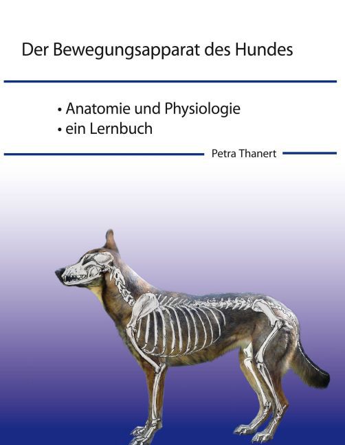 Der Bewegungsapparat des Hundes main product photo