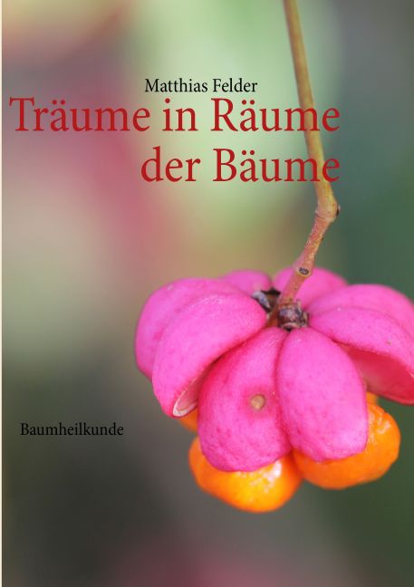 Träume in Räume der Bäume main product photo