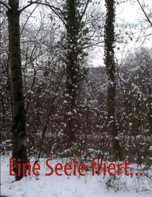 Eine Seele friert... main product photo