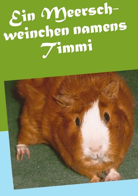 Ein Meerschweinchen namens Timmi main product photo