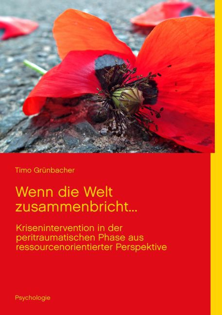 Wenn die Welt zusammenbricht... main product photo