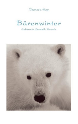 Bärenwinter