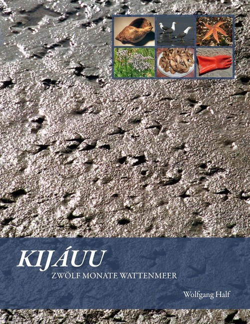Kijáuu main product photo
