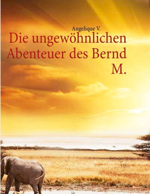 Die ungewöhnlichen Abenteuer des Bernd M. main product photo