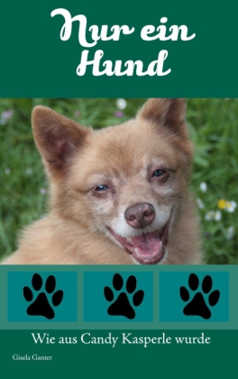 Nur ein Hund
