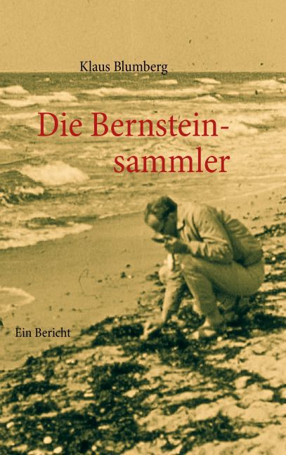 Die Bernsteinsammler main product photo