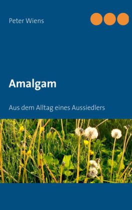 Amalgam