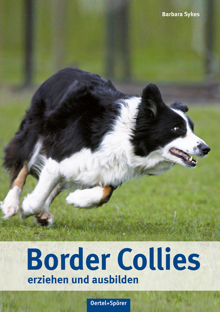 Border Collies erziehen und ausbilden main product photo