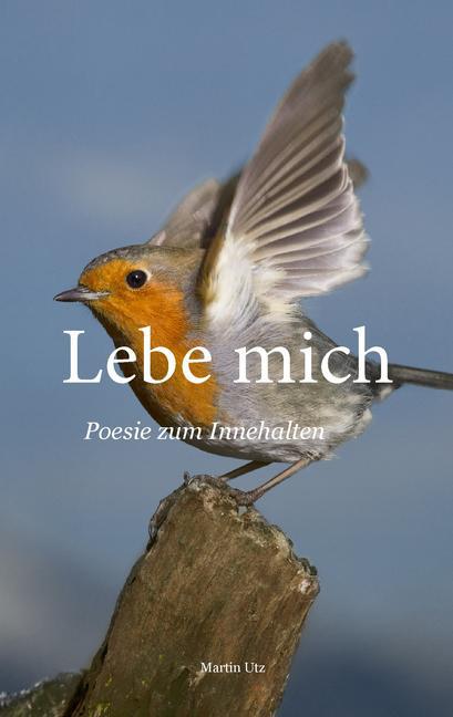 Lebe mich main product photo