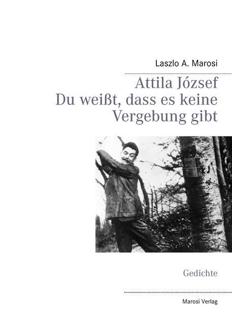 Attila József - Du weißt, dass es keine Vergebung gibt main product photo