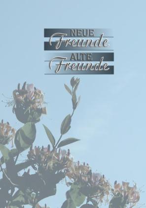 Neue Freunde - Alte Freunde