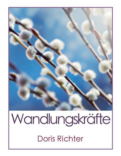 Wandlungskräfte main product photo