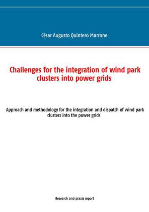 Challenges for the integration of wind park clusters into power grids