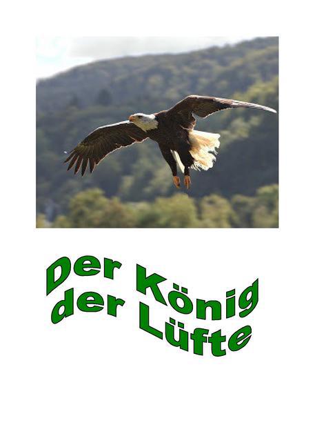 Der König der Lüfte main product photo