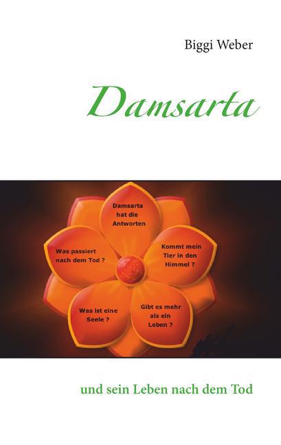 Damsarta main product photo