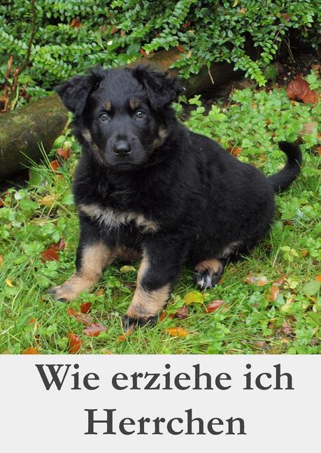 Wie erziehe ich Herrchen main product photo