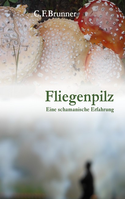 Fliegenpilz main product photo