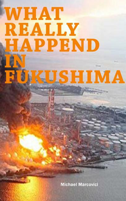 What really happened in Fukushima main product photo