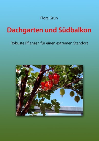 Dachgarten und Südbalkon main product photo