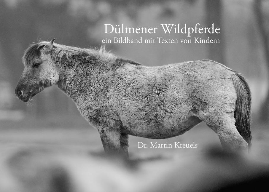 Dülmener Wildpferde main product photo