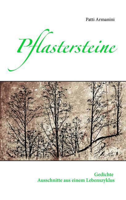 Pflastersteine main product photo