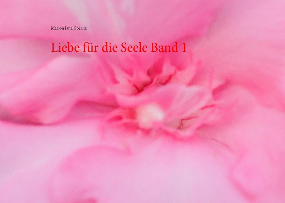Liebe für die Seele Band 1 main product photo