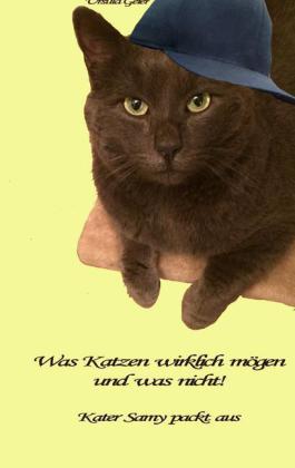 Was Katzen wirklich mögen und was nicht