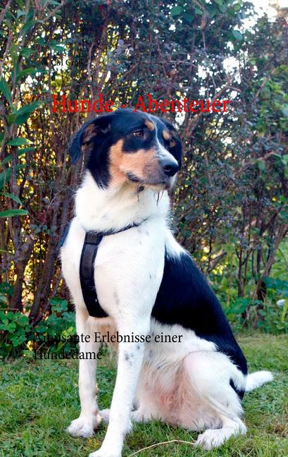 Hunde - Abenteuer main product photo