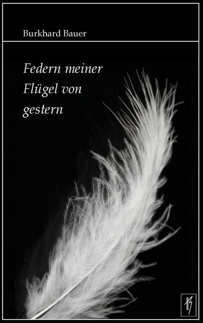 Federn meiner Flügel von gestern main product photo