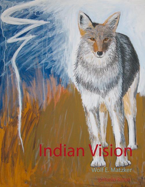 Indian Vision main product photo