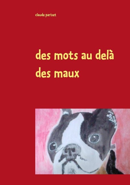 des mots au delà des maux main product photo