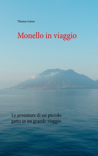 Monello in viaggio main product photo
