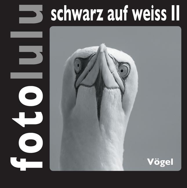 fotolulu schwarz auf weiss II main product photo