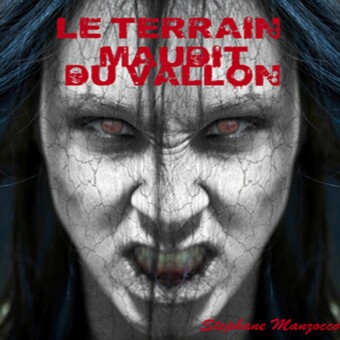 Le terrain maudit du vallon "Chapitre I"