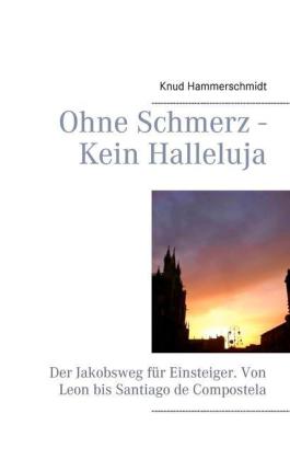 Ohne Schmerz - Kein Halleluja
